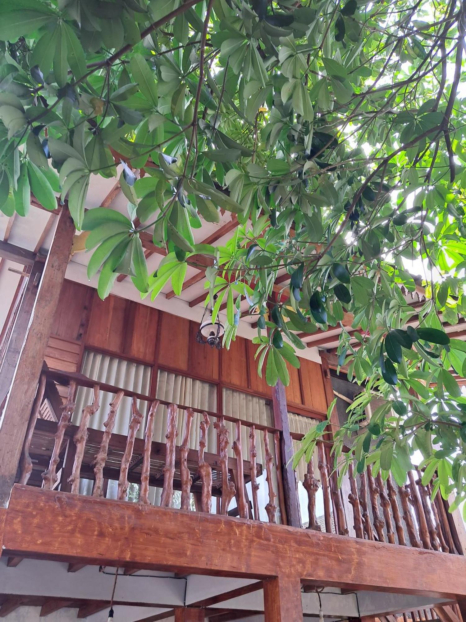 Diana'S Homestay Banyuwangi (East Java) Exterior foto